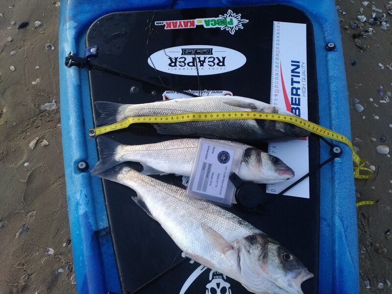 Fish Measure Picture